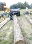 This log is history.  Full of nails.